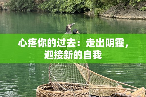 心疼你的过去：走出阴霾，迎接新的自我