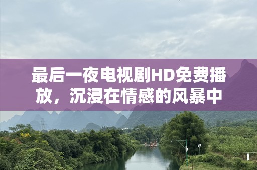 最后一夜电视剧HD免费播放，沉浸在情感的风暴中