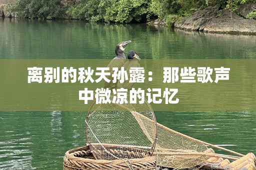 离别的秋天孙露：那些歌声中微凉的记忆