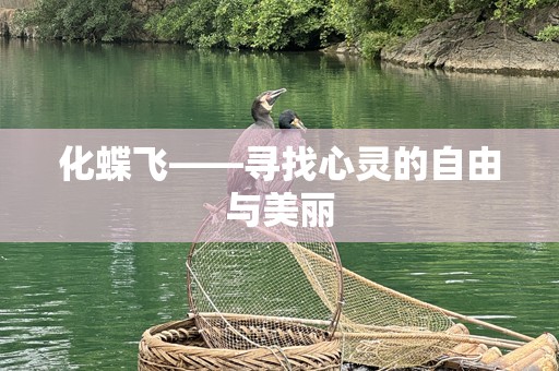 化蝶飞——寻找心灵的自由与美丽