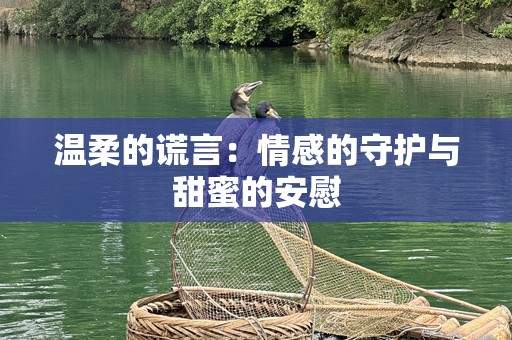 温柔的谎言：情感的守护与甜蜜的安慰