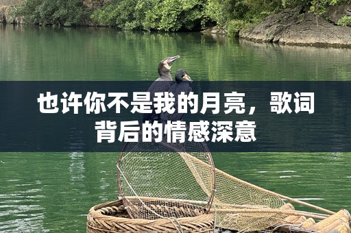 也许你不是我的月亮，歌词背后的情感深意