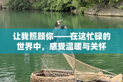 让我照顾你——在这忙碌的世界中，感受温暖与关怀
