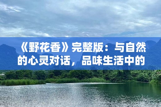《野花香》完整版：与自然的心灵对话，品味生活中的真挚情感