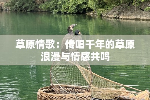 草原情歌：传唱千年的草原浪漫与情感共鸣