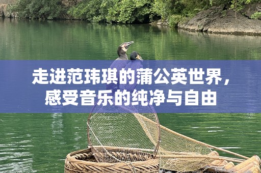 走进范玮琪的蒲公英世界，感受音乐的纯净与自由