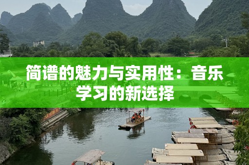 简谱的魅力与实用性：音乐学习的新选择