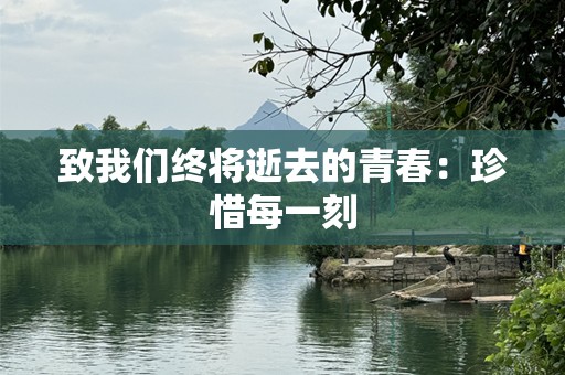 致我们终将逝去的青春：珍惜每一刻