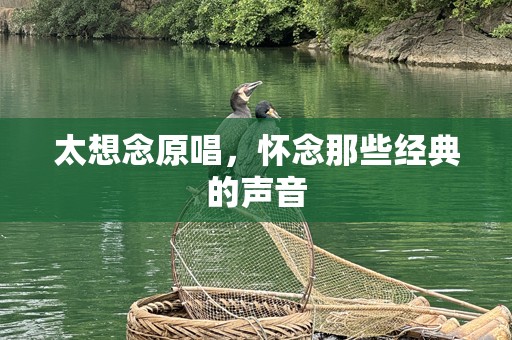 太想念原唱，怀念那些经典的声音
