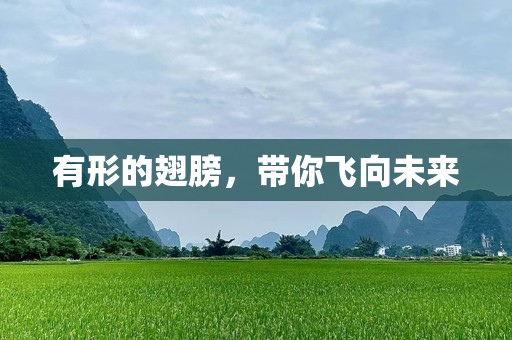 有形的翅膀，带你飞向未来