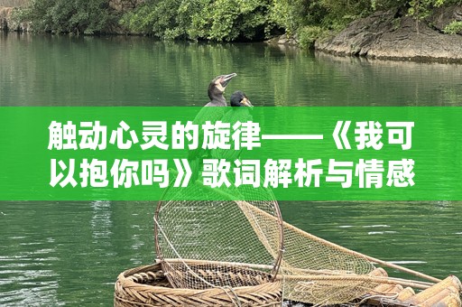 触动心灵的旋律——《我可以抱你吗》歌词解析与情感共鸣