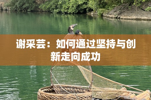 谢采芸：如何通过坚持与创新走向成功