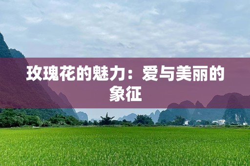 玫瑰花的魅力：爱与美丽的象征