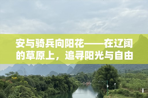 安与骑兵向阳花——在辽阔的草原上，追寻阳光与自由的故事