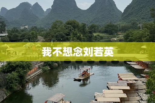 我不想念刘若英