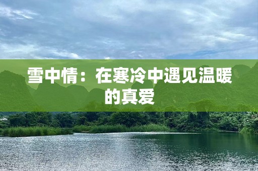 雪中情：在寒冷中遇见温暖的真爱