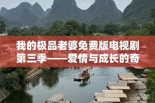 我的极品老婆免费版电视剧第三季——爱情与成长的奇妙碰撞