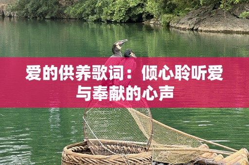 爱的供养歌词：倾心聆听爱与奉献的心声