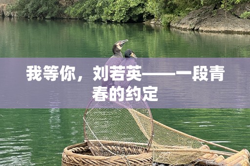我等你，刘若英——一段青春的约定
