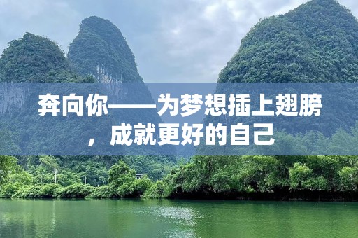 奔向你——为梦想插上翅膀，成就更好的自己