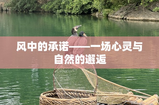风中的承诺——一场心灵与自然的邂逅