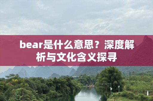 bear是什么意思？深度解析与文化含义探寻