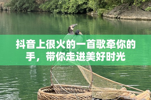 抖音上很火的一首歌牵你的手，带你走进美好时光