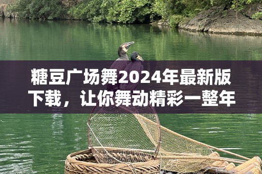 糖豆广场舞2024年最新版下载，让你舞动精彩一整年