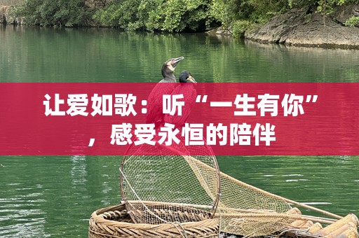 让爱如歌：听“一生有你”，感受永恒的陪伴