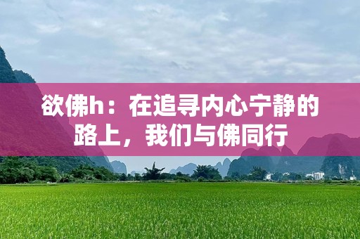 欲佛h：在追寻内心宁静的路上，我们与佛同行