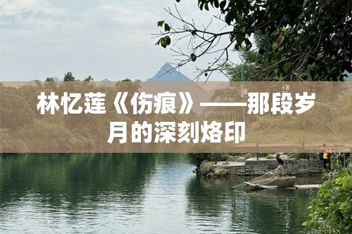 林忆莲《伤痕》——那段岁月的深刻烙印