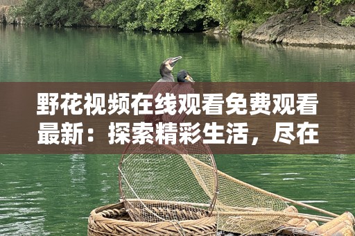 野花视频在线观看免费观看最新：探索精彩生活，尽在指尖
