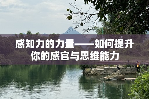 感知力的力量——如何提升你的感官与思维能力