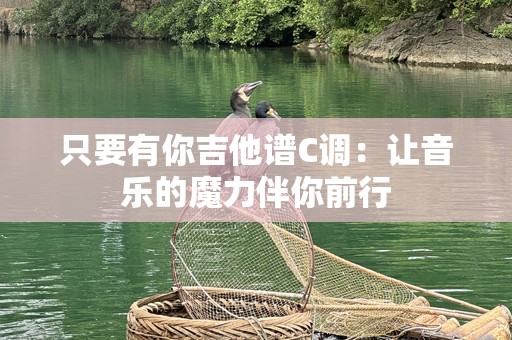 只要有你吉他谱C调：让音乐的魔力伴你前行