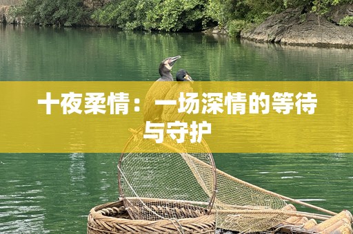 十夜柔情：一场深情的等待与守护