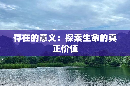 存在的意义：探索生命的真正价值