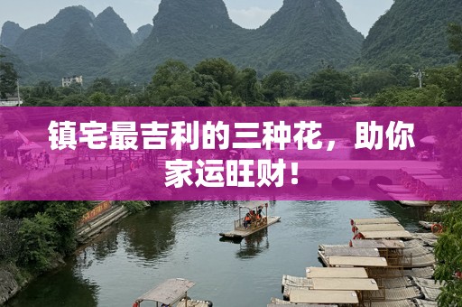 镇宅最吉利的三种花，助你家运旺财！
