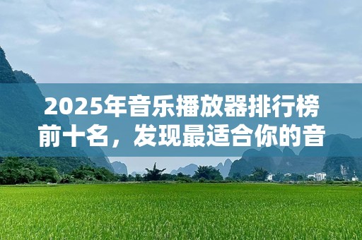 2025年音乐播放器排行榜前十名，发现最适合你的音乐伴侣！