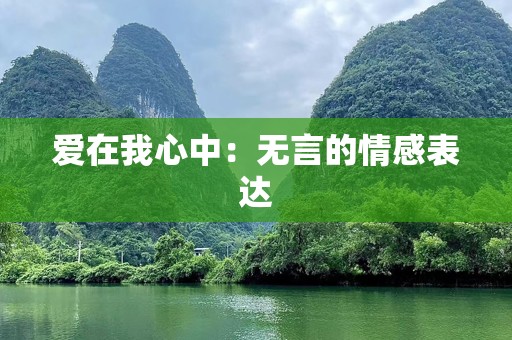 爱在我心中：无言的情感表达