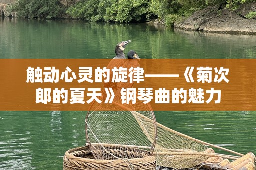 触动心灵的旋律——《菊次郎的夏天》钢琴曲的魅力