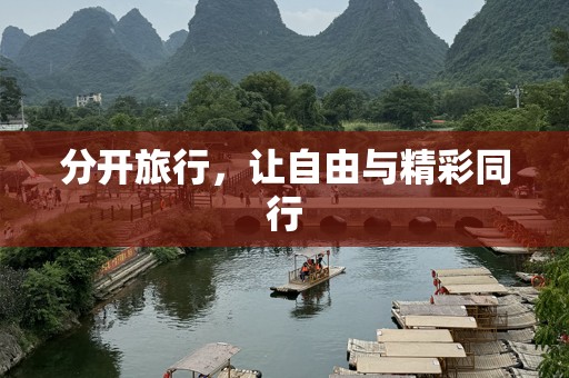 分开旅行，让自由与精彩同行