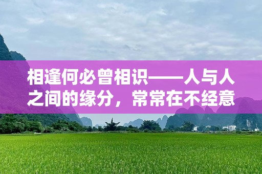 相逢何必曾相识——人与人之间的缘分，常常在不经意间悄然发生
