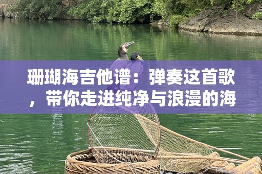 珊瑚海吉他谱：弹奏这首歌，带你走进纯净与浪漫的海洋