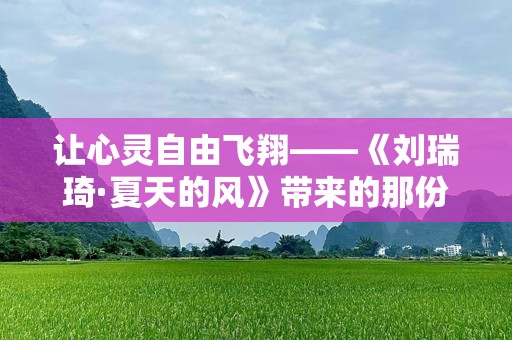 让心灵自由飞翔——《刘瑞琦·夏天的风》带来的那份清新与温暖