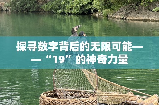 探寻数字背后的无限可能——“19”的神奇力量