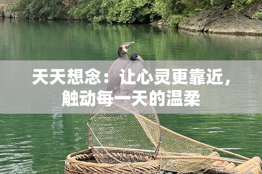 天天想念：让心灵更靠近，触动每一天的温柔