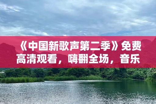 《中国新歌声第二季》免费高清观看，嗨翻全场，音乐与梦想的完美碰撞！