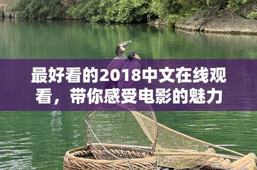 最好看的2018中文在线观看，带你感受电影的魅力