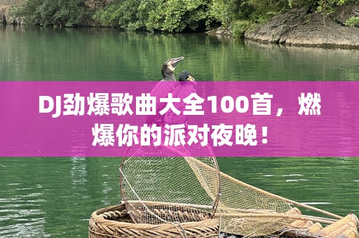 DJ劲爆歌曲大全100首，燃爆你的派对夜晚！