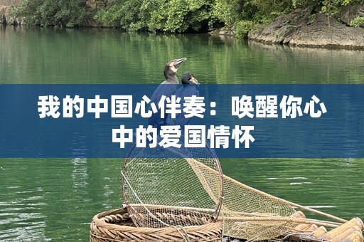 我的中国心伴奏：唤醒你心中的爱国情怀